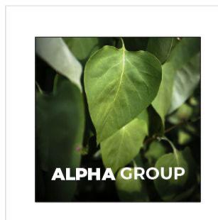 Alpha Group Logo